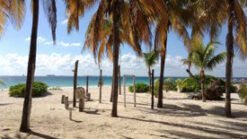Isla Mujeres beach with sunlight, white sand, palm trees, and blue sea in the background