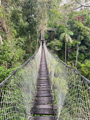 Peru Amazon Lodge: Canopy walk