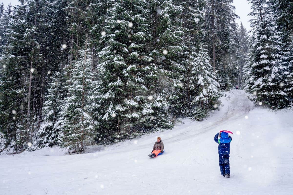 Lake Louise Ice Sculptures at the Ice Magic Event (2026)