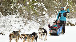 Man and woman in a dog sled with a musher and 5 sled dogs along a snowy trail