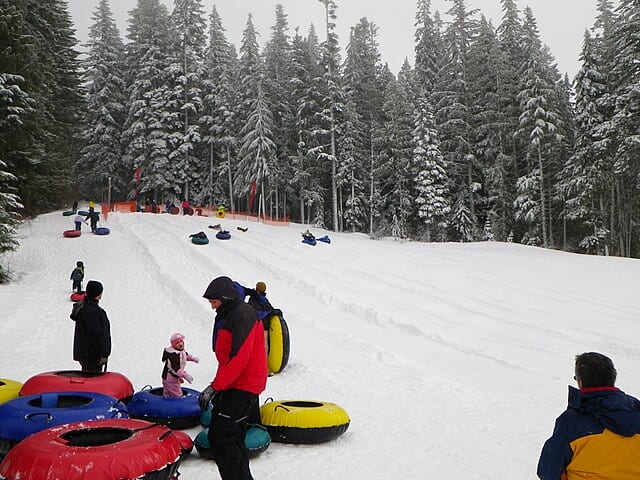 Snowy tubing hill with pine trees in background and people in colourful tubes sliding down the hill